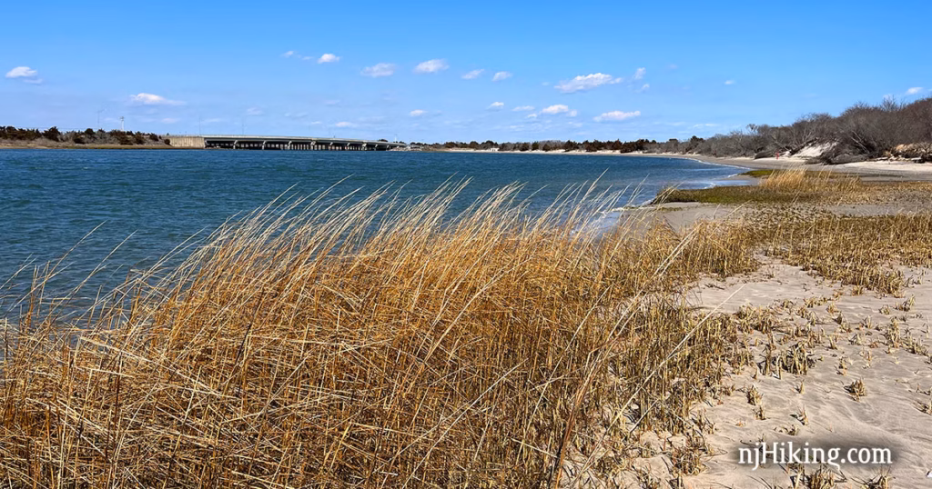 year round residential resort, pine, Jersey, AssetlocalActivity, basketball and pickleball courts, resort